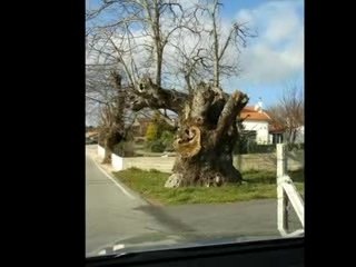 Serra da Malcata  -  Souto Sabugal