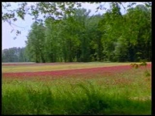 Harun Yahya - 01 Answers from the Qur'an