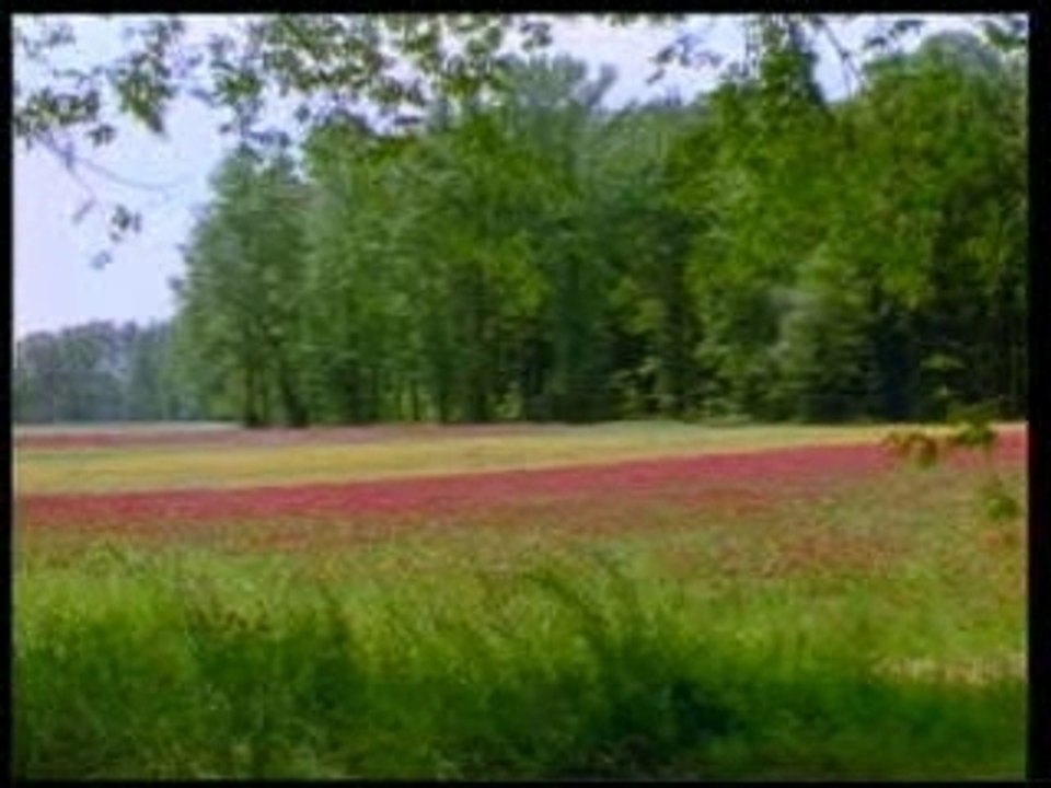 Harun Yahya - 01 Answers from the Qur'an