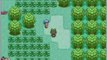 VBA Gameshark Codes Pokemon Emerald