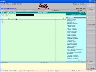 Tally Part 11- Urdu Tutorials
