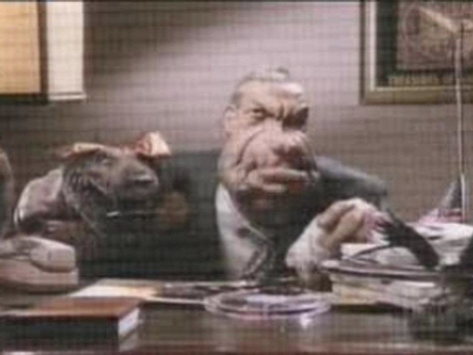 - Land Of Confusion