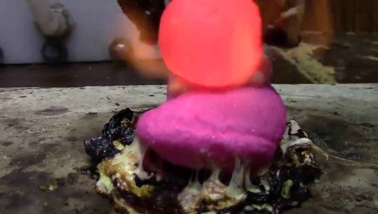 Détruire des Marshmallows : Expérience chelou!