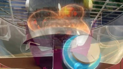 Lotus Grill Barbecue senza fumo