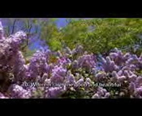 Surah Rahman - Mishary Rashid Al Afasy سورة الرحمن - مشاري العفاسي - YouTube