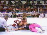 Bret Hart vs Shawn Michaels - SSeries 92