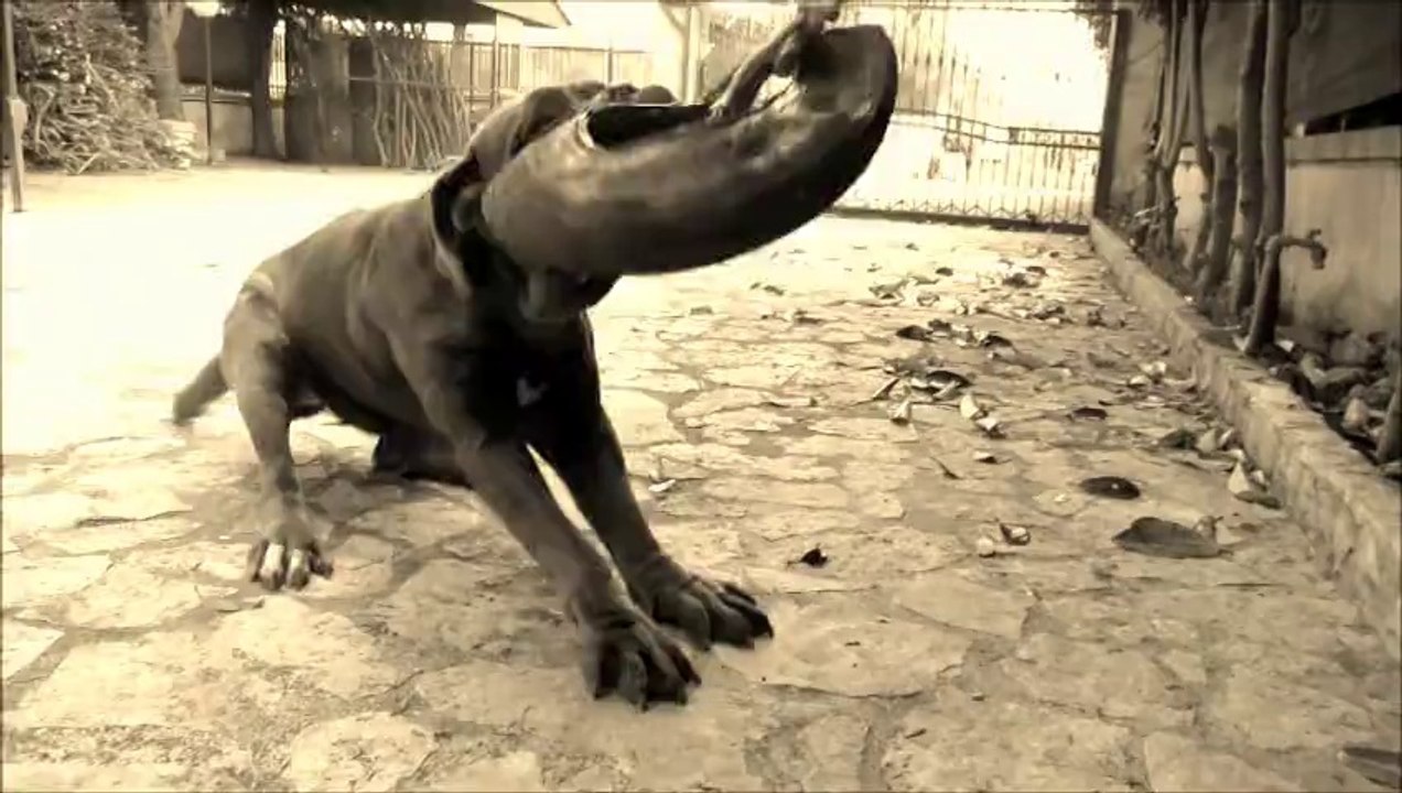 NA CRIATURA 'E PRESA