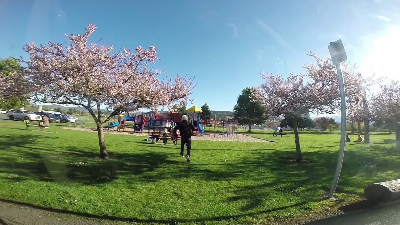 Kidnapping d'enfant au parc