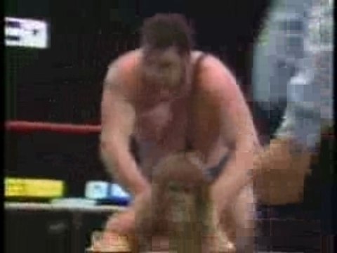 1988 Ultimate Warrior Vs Andre The Giant