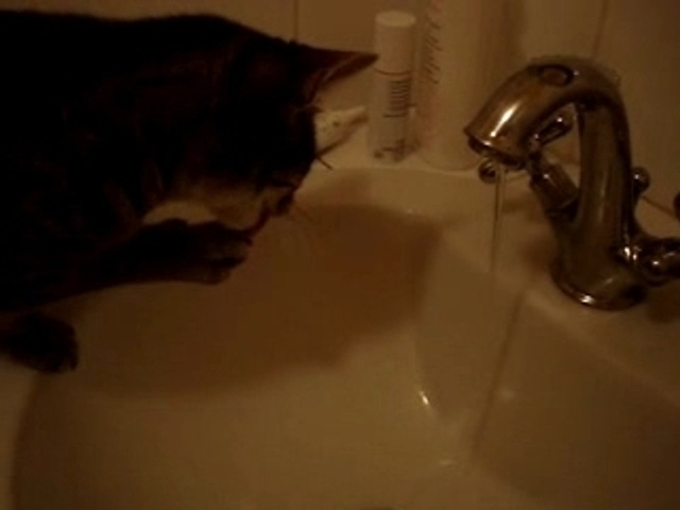 chat