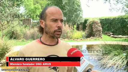 En peligro los centros de protección animal