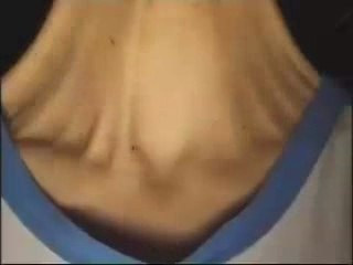 Extender /  BROGLEBEAT & P.SCHMID