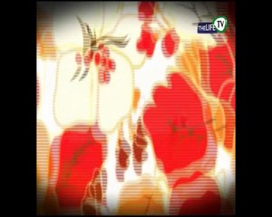 Living Life With Sajida  (A Gandhara Art Exhibition-Opening Night)