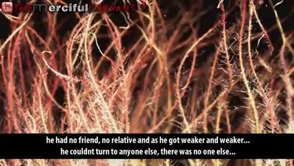 The Repenter (Emotional) - A Deep Reflection