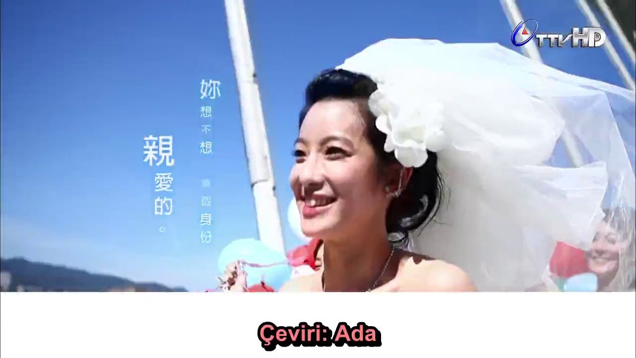 G.Gull.E05.AF_1