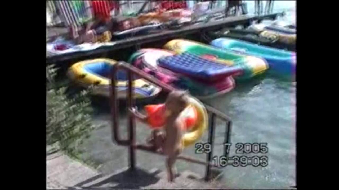 Kärnten Wörthersee 2005