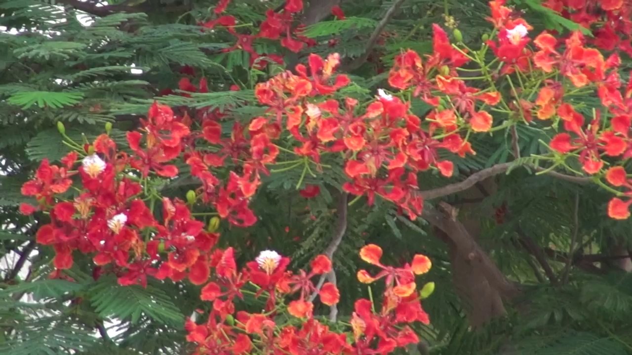 Egypt2013, The Grand Hotel in HD