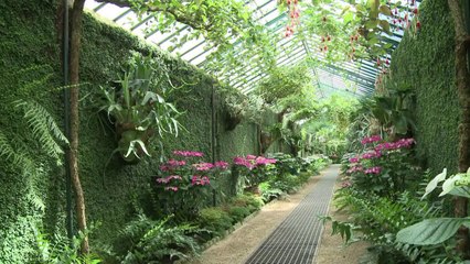 Ouverture des Serres Royales de Laeken en Belgique