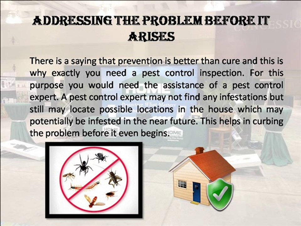 Having regular Pest control inspections pays well