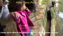 Fatma Derin Bebek Geyikbayırı Alabalık Tesislerinde- Antalya
