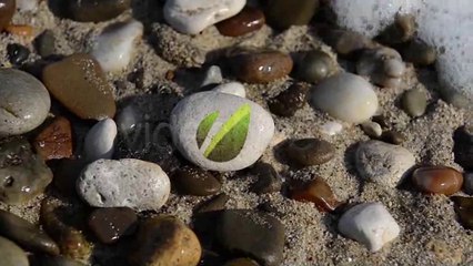 Beach Series - Logo Reveal - After Effects Template