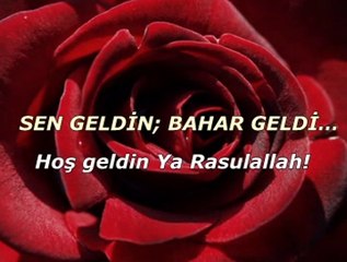 Sen geldin, bahar geldi...