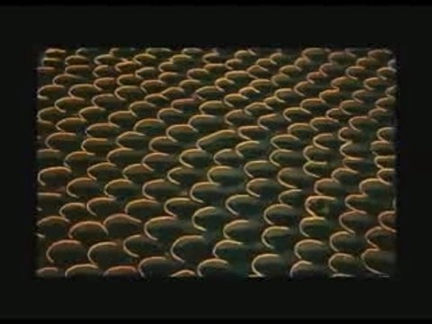 Yann Arthus-Bertrand - Être photographe