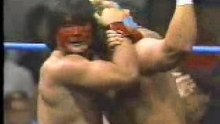 1989-07-09Stingvs.Muta