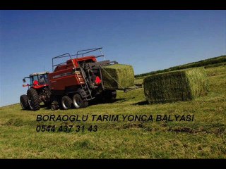 Satılık Yonca Balyası