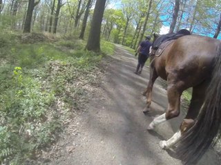 18.04.2014.a.gege.tenebra.dipti