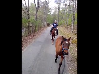 18.04.2014.c.gege.tenebra.dipti