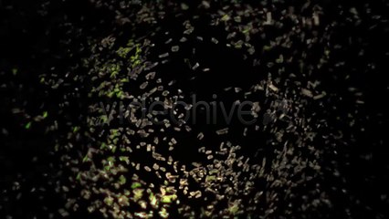 Fragmentation Gathering - After Effects Template