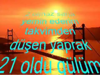 seslisehir / seslisehir [ATİL_44]