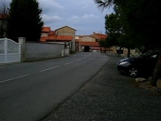 niko qui tape une bour