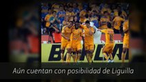 Ver León vs Tigres En Vivo 19 de Abril 2014 UnoTV Liga MX Clausura 2014