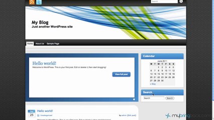 Learn Wordpress 4- Pages and Widgets