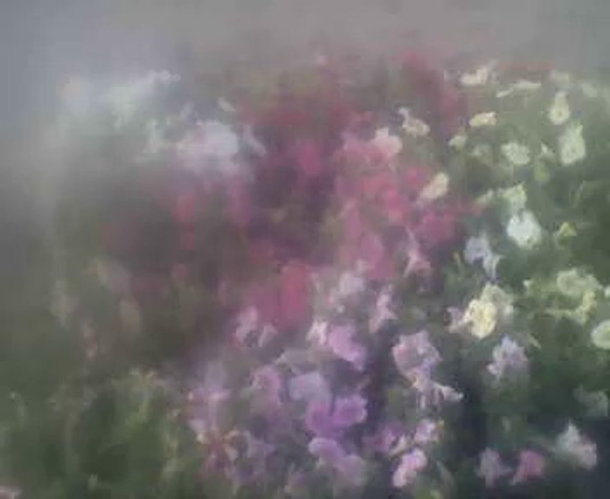 multan station