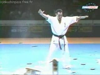 Kyokushin karate Midori Kenji Casse