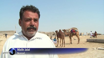 Pakistan plans huge desert solar park to fight energy crisis