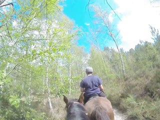 18.04.2014.d.gege.tenebra.dipti