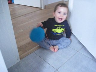 MVI marche crapaud