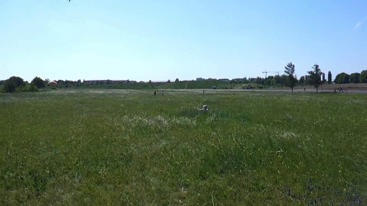 10er Speedwing Gespann