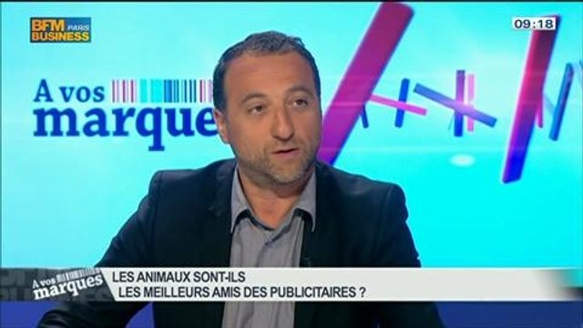 Les animaux sont-ils les meilleurs amis des publicitaires ?: Frank Tapiro, Valéry Pothain et Charlotte Bricard, dans A vos marques – 20/04 2/3