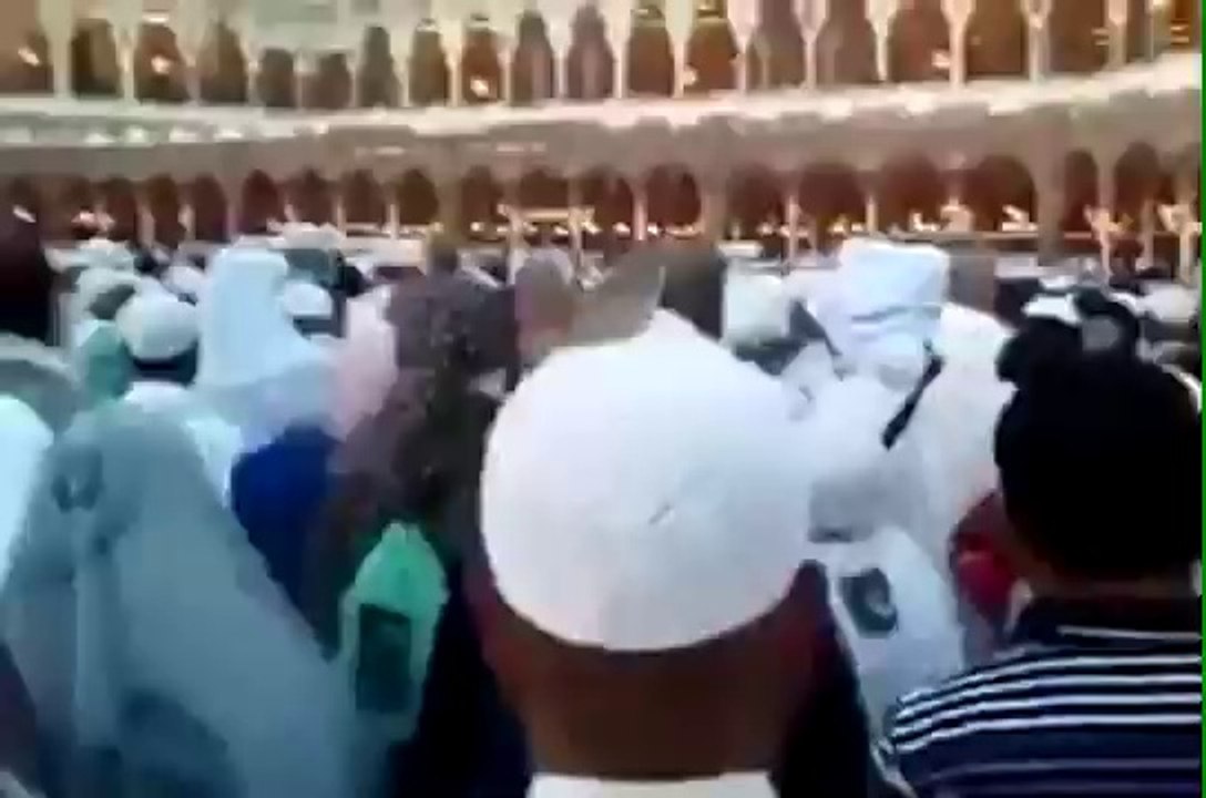 Tavafta kuş