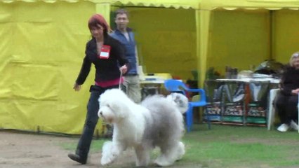 Kira at the OES Club Championship-2010