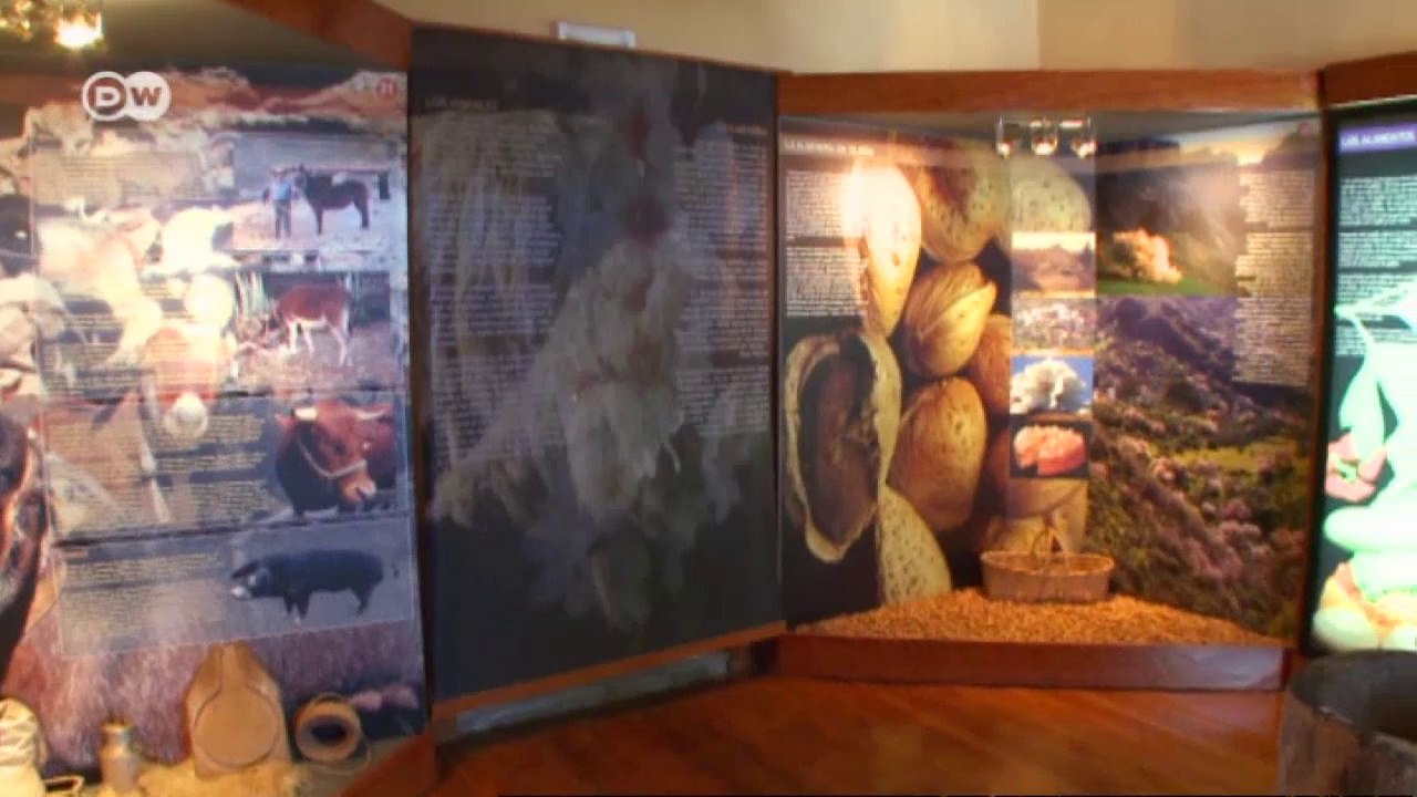 Euromaxx highlights | Euromaxx