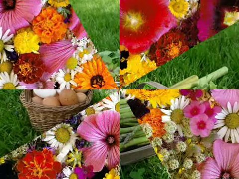 Noor jehan new dhamal song rak laj meri