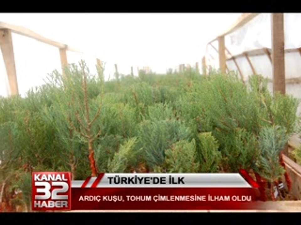 türkiyede ilk 01 18