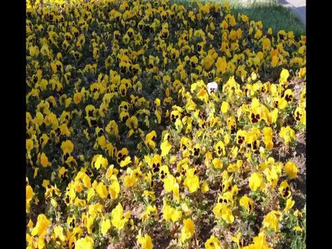 ANITKABİR GEZİSİ KÜÇÜK ÜLKÜ İLKÖĞRETİM OKULU