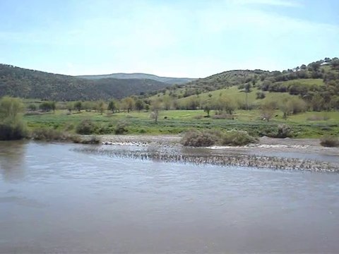 nazende sevgilim aklıma düştün-NALAN ALTINÖRS...(taksimli)